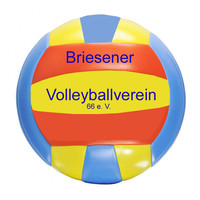 Briesener Volleyball Verein 1966